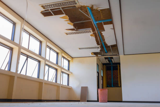 Reliable Clinton, LA Water damage restoration Solutions