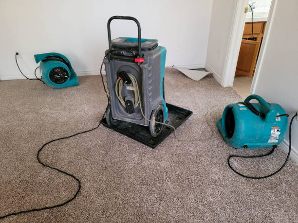 Best Mold removal after water damage  in Clinton, LA