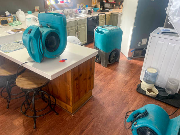 Best Carpet water damage restoration  in Clinton, LA