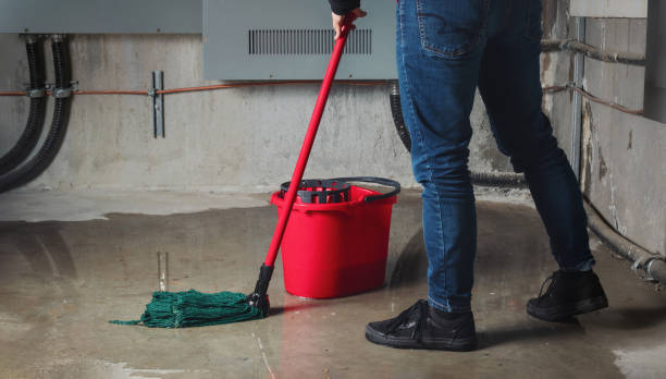 Best Professional water damage repair  in Clinton, LA