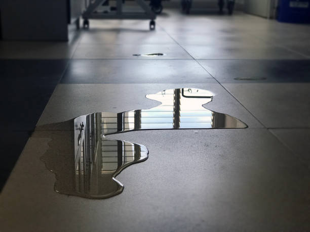 Best Water damage repair service  in Clinton, LA