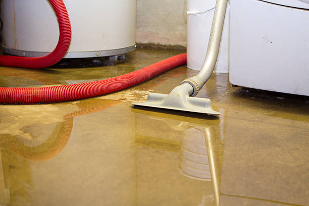 Best Water damage contractors near me  in Clinton, LA