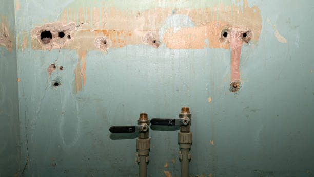 Best Commercial water damage restoration  in Clinton, LA