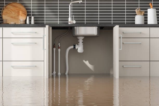 Best Water damage contractors near me  in Clinton, LA